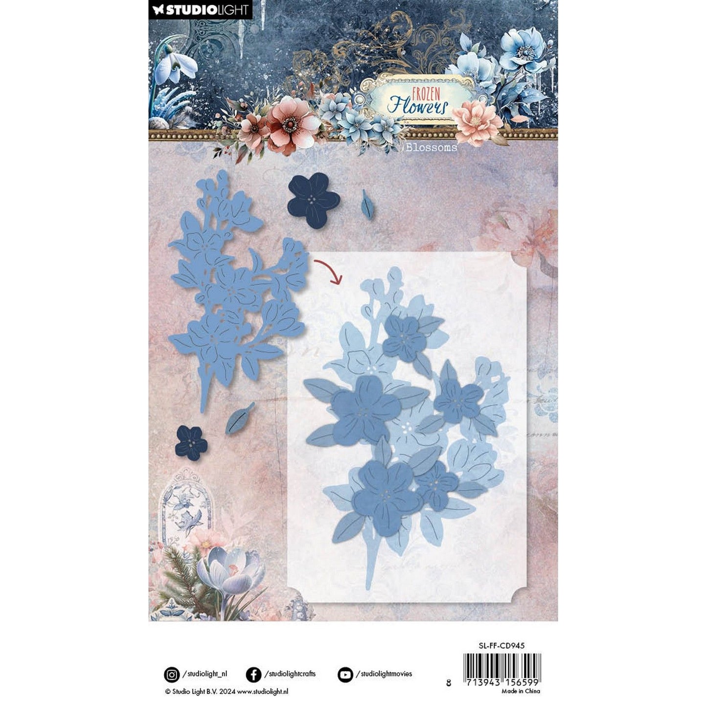 Studiolicht • Gefrorene Blumen, die Blüten ausstanzen