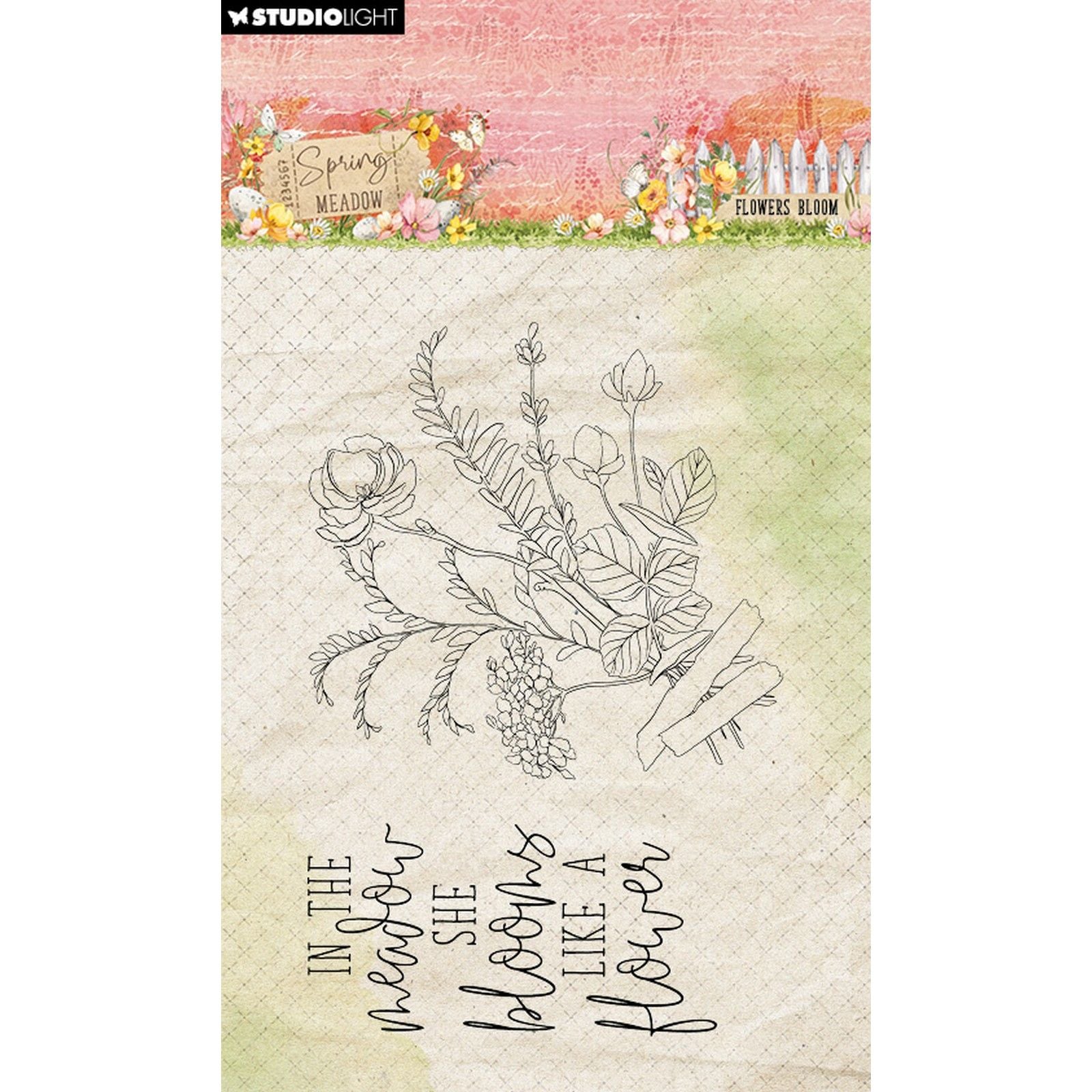 Studiolicht • Frühlingswiese, klarer Stempel, Blumenblüte