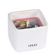 Spaas Würfel Rose Rouge 53 66 mm