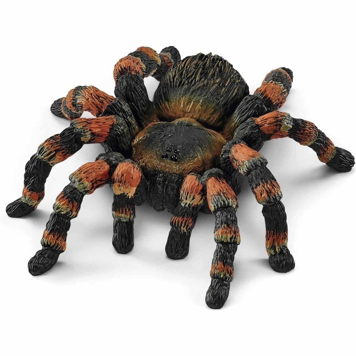 14829 Vogelspinne