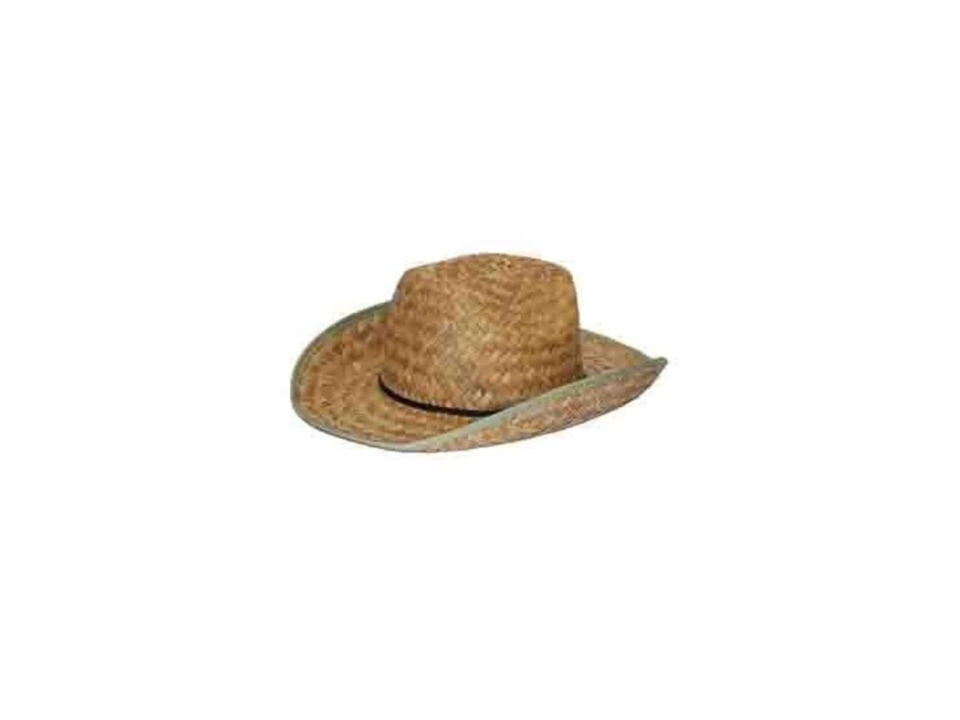 Boland Dallas Cowboyhut natur