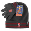 Spiderman-Winterset
