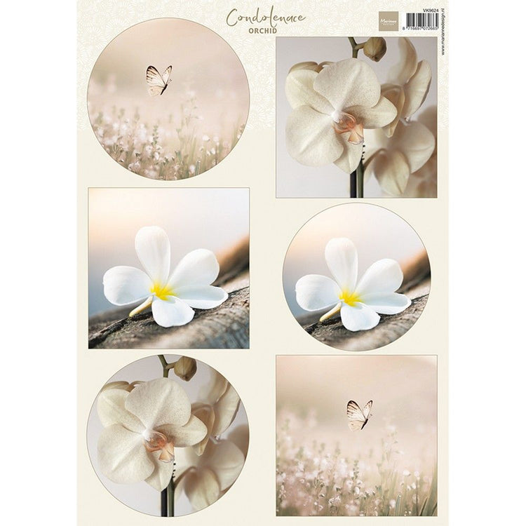 Marianne Design • Schnittbogen Kondolenzorchidee