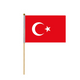 Türkei-Flagge 30x46cm