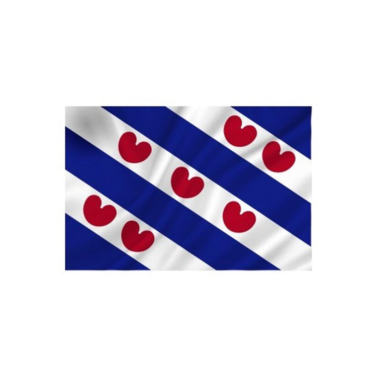 Dokkumer Flaggen Zentralflagge Friesland 50x75 cm gesponnenes Poly