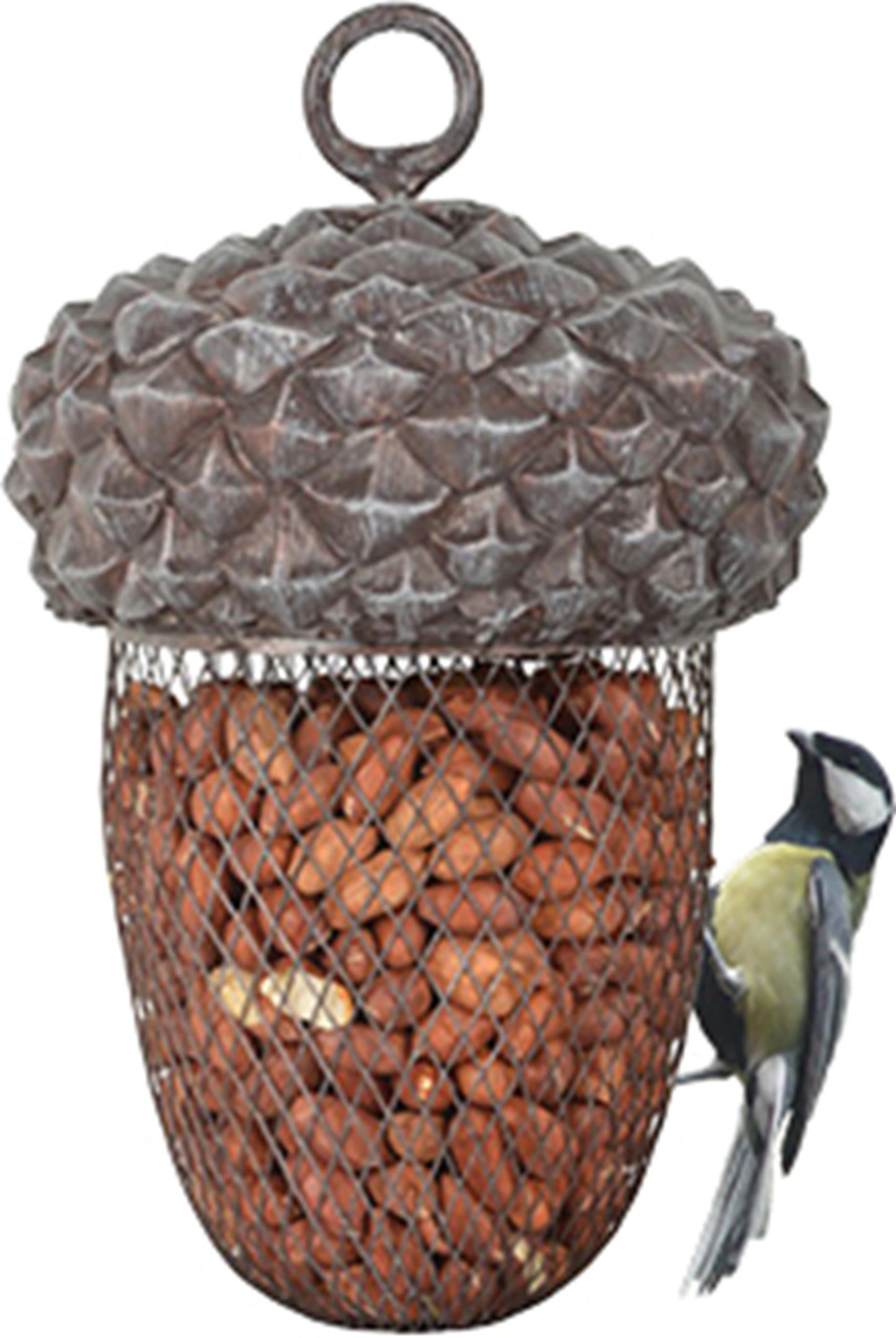 Am besten für Vögel füttern den Anhänger Eichel