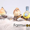Farmwood Tiere Gartenstatue Vogel 8,5x5x10 cm