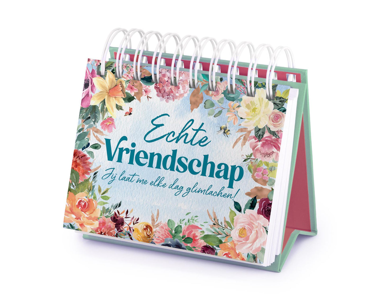 Imagebooks 365 Tage Geschenkbuch – wahre Freundschaft