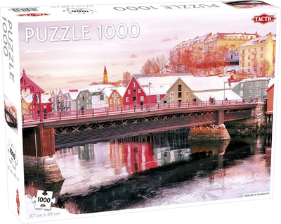 Puzzle Nidelva in Trondheim 1000 Stücke