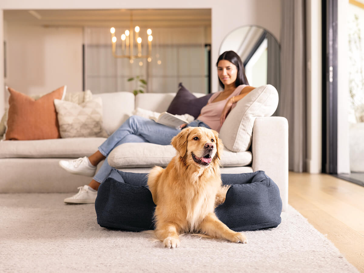 Intex aufblasbares Hundebett | mittelgroß