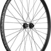 DT Swiss Excel 1200 Classic 30 29 Carbon Cl Boost Vorderrad