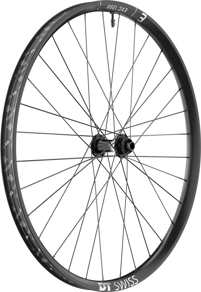 DT Swiss Excel 1200 Classic 30 29 Carbon Cl Boost Vorderrad