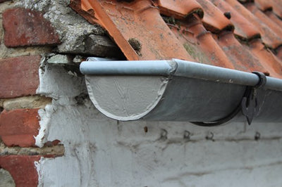 Tec7 wp7-202 Dachbandrolle 100 mm * 10 m – 603260000