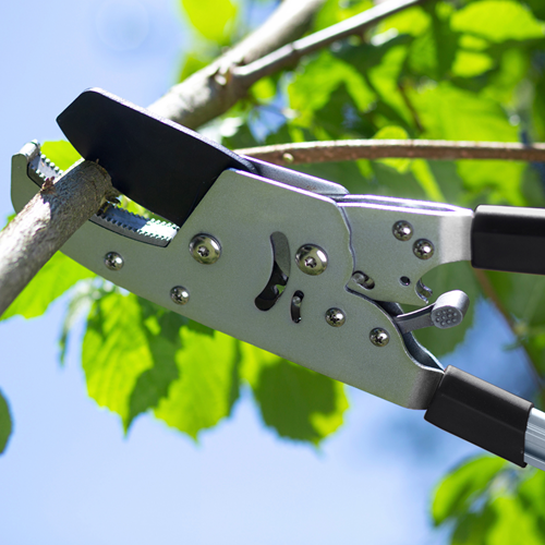 Werkzeyt Gartenschere mit Teleskopgriff – wu9769700