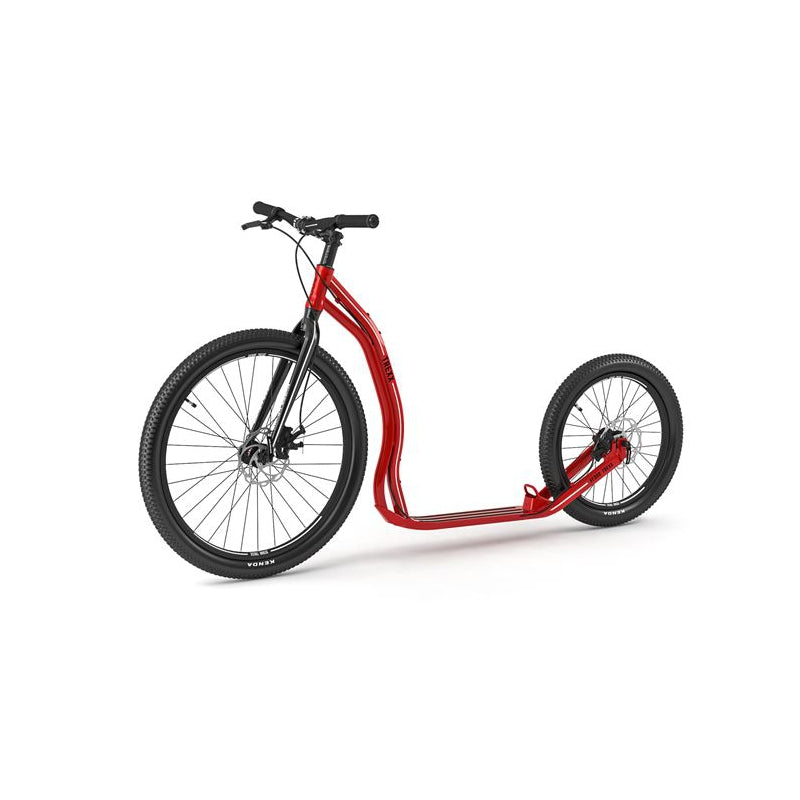 yedoo trexx disc rot