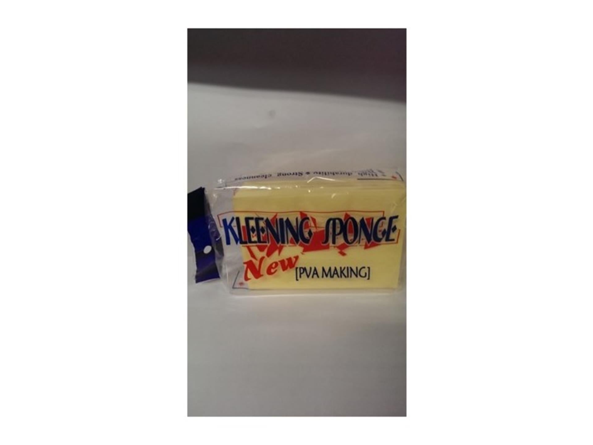 Schwamm synthetisch 12x8x3cm