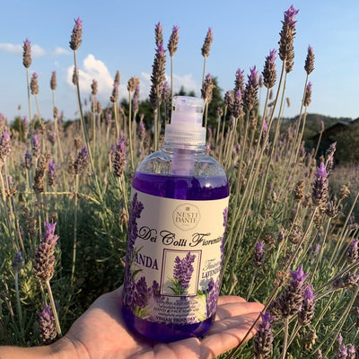 Nesti Dante Nesti Dante Fiorentini Lavanda Seifenpumpe 500 ml