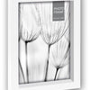 ZEP Fotorahmen TR245 Trilogie 2 Set 10x15 13x18 15x20 cm