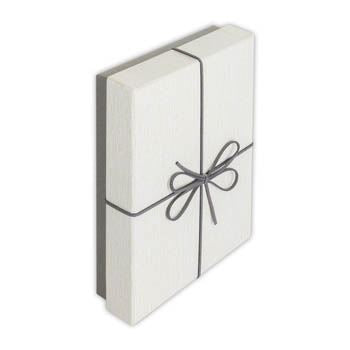 ZEP -Speicherbox BX3514B Box Piacenza B 15.3x21.4x4