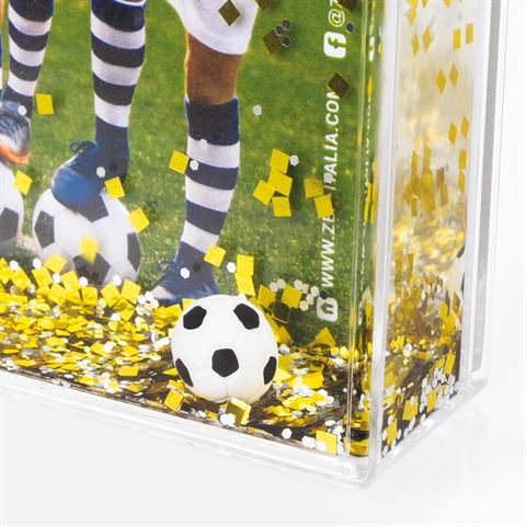 ZEP RB983 Shake Fram Football 10x15 cm 6 Teile