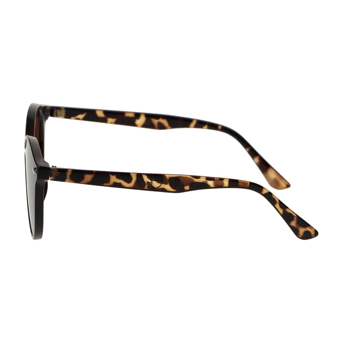 Spectrum -Spektrum -Sonnenbrille um Schildkröte braune Damen