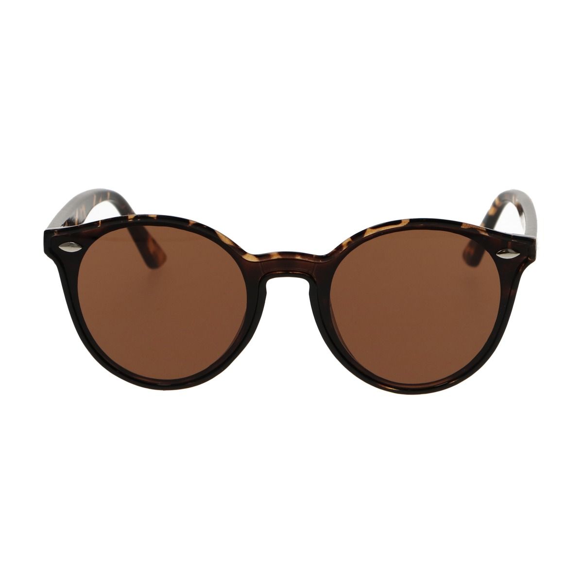 Spectrum -Spektrum -Sonnenbrille um Schildkröte braune Damen