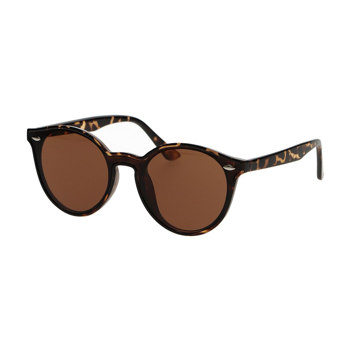 Spectrum -Spektrum -Sonnenbrille um Schildkröte braune Damen