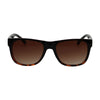 Spectrum Spectrum Sonnenbrille halbe Havanna Brown Damen