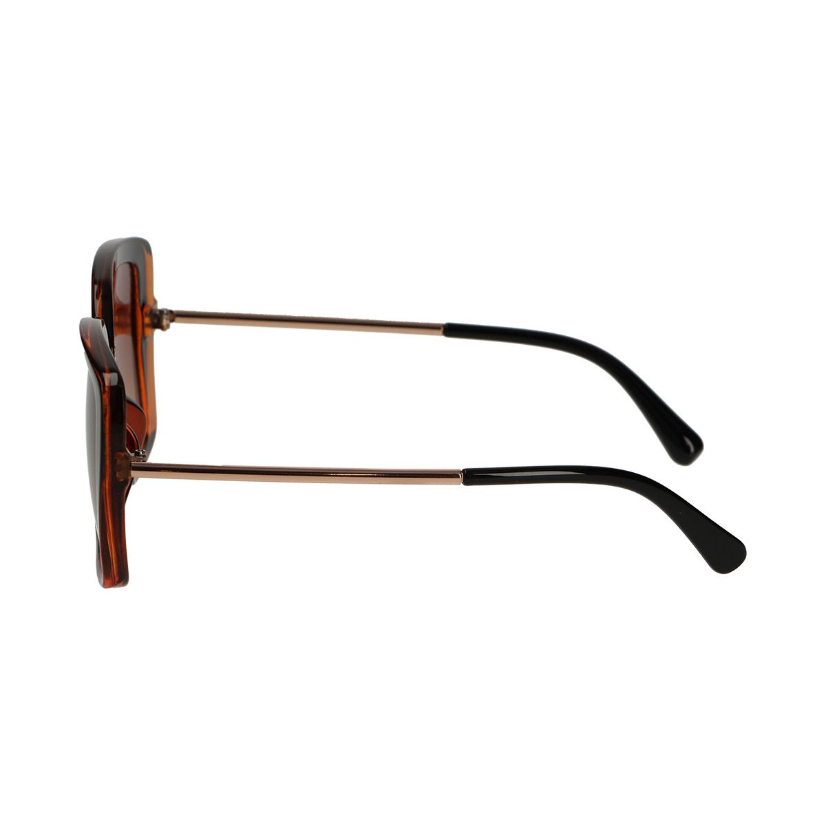 Spectrum Spectrum Sonnenbrille Schmetterling Gradienten Schildkröte braune Damen