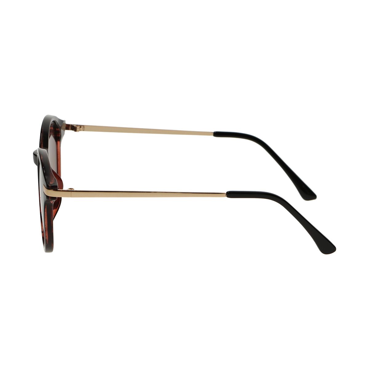 Spektrumspektrum Sonnenbrille rund halb Schildkröte schwarze Damen