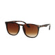 Spektrum Sonnenbrille braune Havanna Damen