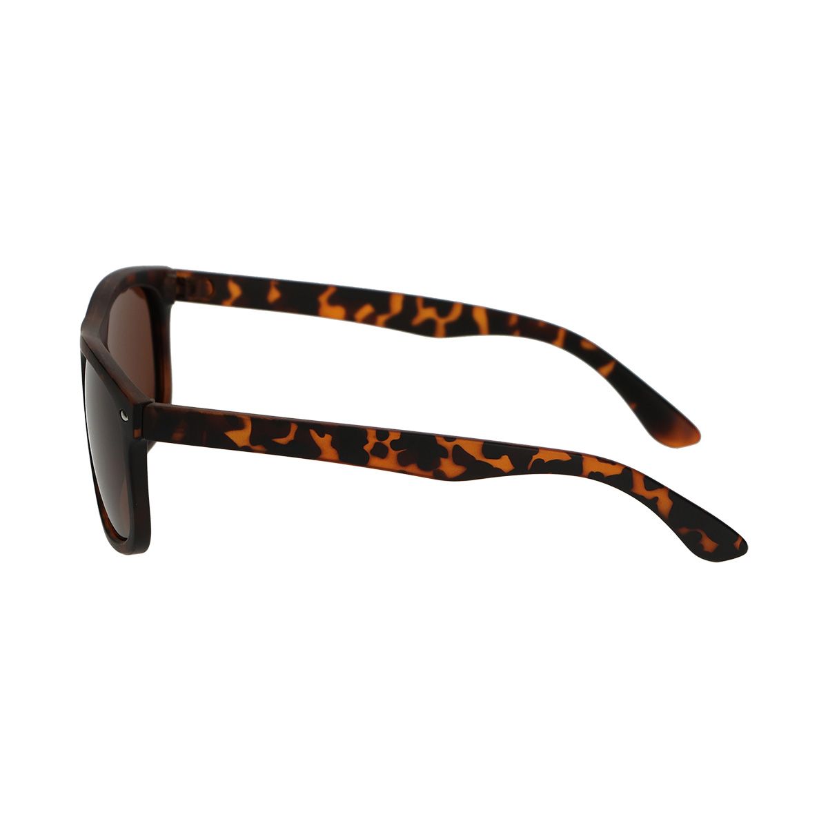 Spektrum Spektrum Polariazed Sonnenbrille Schildkröte braune Damen