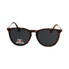 Spectrum Spectrum Polariazed Sonnenbrille um Schildkröte Goldgrau Damen