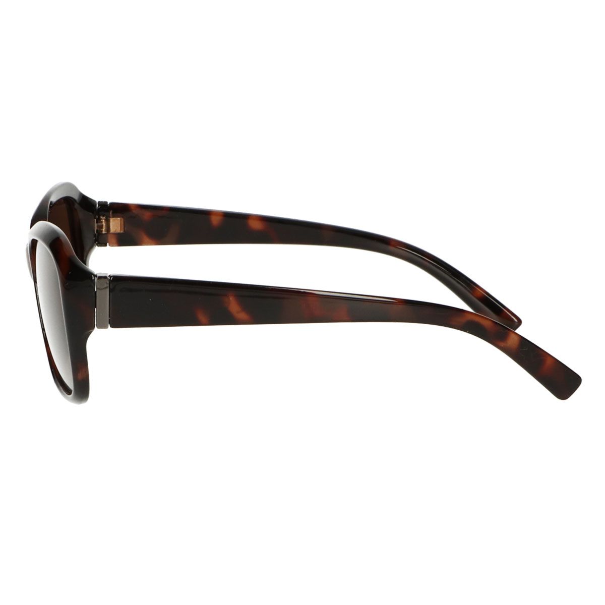 Spectrum polarisierte Sonnenbrille oval schildpattbraun Damen