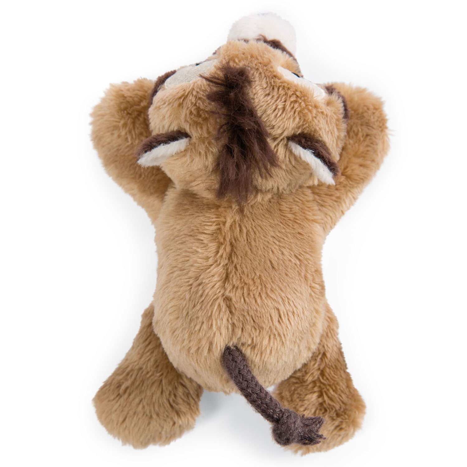 Nici Magnici Pluchen kuschly Coati mit Magnet 12 cm