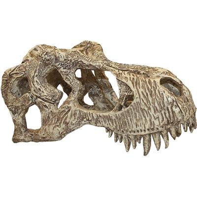 Komodo T-Rex Plan