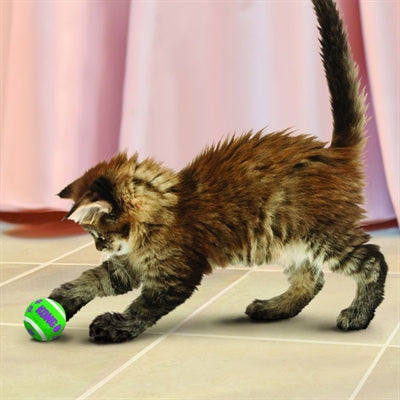 Kong Kat Tennisbälle mit Berufung