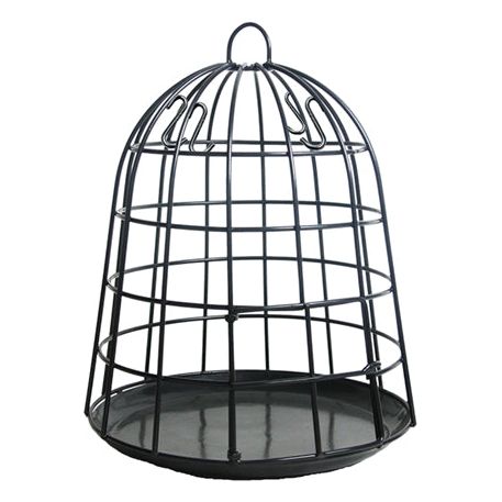 Am besten für Vögel selektiver Vogelhäuschen