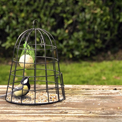 Am besten für Vögel selektiver Vogelhäuschen