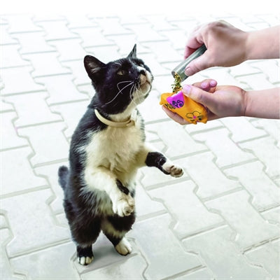Kong nachfüllbare Katzenminzen -Katzenminen -Röhrchen