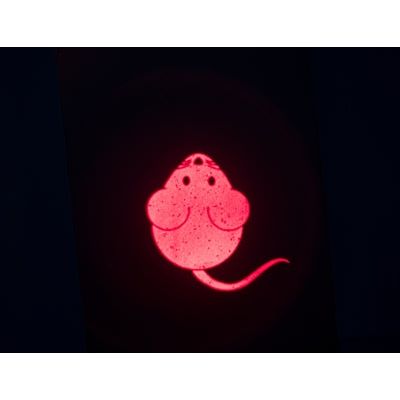 Trixie -Laser -Spielzeuge fangen die leichte USB -USB wiederaufladbar