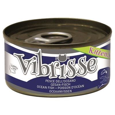 Vibrisse Kätzchen Katze Ozeanfisch