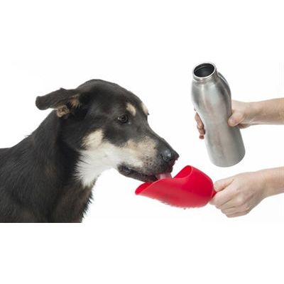 Kong H2O -Trinkflasche Edelstahl Orange
