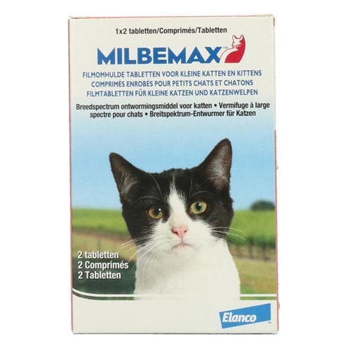 Milbemax Tablette erstmals kleines Katzenkätzchen