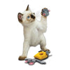 Kong Pull-a-Parttz Cheezy Muis