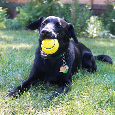 Kong Squezz TPR Tennisball Yellow Asorti
