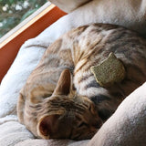 Croci Euphoria Stick Catnip Cat Head - afbeelding 4