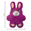 Kong schnüffelt Bunny