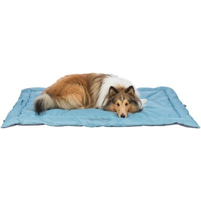 Trixie Reisedecke Samoa hellblau grau