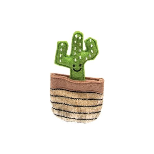 Fofos Cactus Mexico